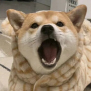 帅气男#   Tmo-猫