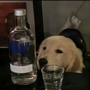 十八那年以为纯爱无敌