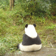 春田花花幼儿园体委