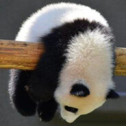 Alsiiiiiiiiiiiiiiiiiiiiiiiiiii