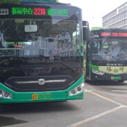 yang305（小黑羊）