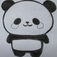 萌新熊与他的笨蛋队友