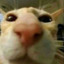 GenericName_0