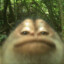 Bon&#039;qui&#039;qui