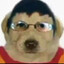 DIRTY DOG DAVE
