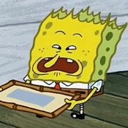 SPONGE_GARP