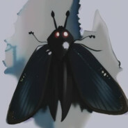 Moth