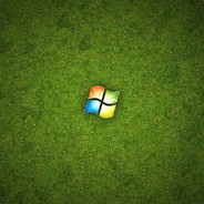 81594771
