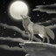 Coyote