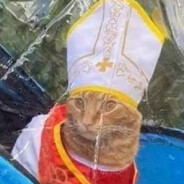 Котолик