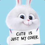 大风厂厂长马云波