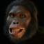 Australopithecus