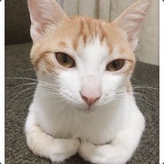 宁缺毋滥的宁缺啊