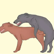 梁山悍匪♛赤面兽（ak）