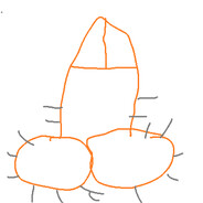 dick peak
