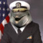 Commander Porpoise