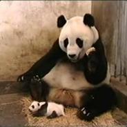 ZaseJsemVámNakopalPrdel