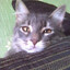 Avatar of player esc