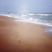 天台少年阿迪王