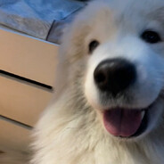 fuckubrokemyslimesrich