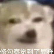 伯乐都说我好马