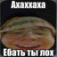 gopstop ершик