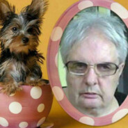 Boston315 - steam id 76561198997650266