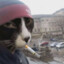 Snoop_cat