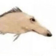 Vairlax