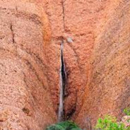 Hellen Kellers Left Meat Curtain