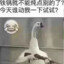 铁锅炖大鹅