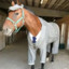 1 horsepower