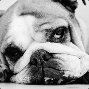 何必一往情深呢