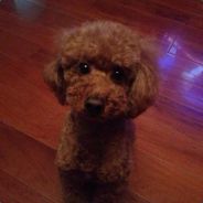 9050福利出全库存，有意