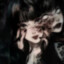 ☾ Sarcastic Goth ☽