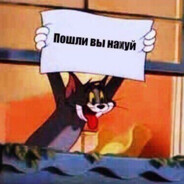 Котик холостяк