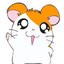 Hamtaro