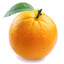 ProductiveOrange