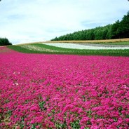 孩子，你无敌了