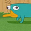 ARegularPlatypus