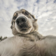 搓不出sg很难过