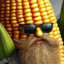 The Corn Wizard