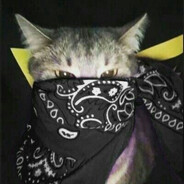 zorochi