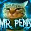 Mr. Penis