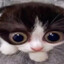 EEE