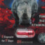 RhinoSexPill9000