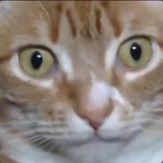 Пацаны, это замес!!! - steam id 76561198107788344