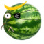 Date Melonmune