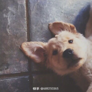 ******************6clG0W