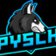 Pyschx